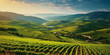 © Summit Art Creations - Beautiful landscape of Vineyards in European region in summer season comeliness