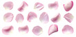 © Oksana - Collection of soft pink flower petals isolated on transparent background
