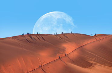 Wall Mural - Dead trees in Dead Vlei with full moon - Sossusvlei, Namib desert, Namibia 