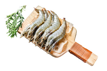 Wall Mural - Fresh raw giant langoustine shrimp . Isolated, Transparent background.