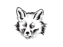 Fox Head Vector Isolated, Hand Drawn Art
