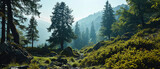 Fototapeta  - Sunlight bathes a forest trail with mountain peaks above