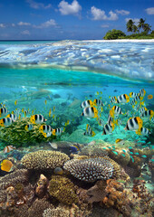 Wall Mural - Tropical Reef in French Polynesia - South Pacific. (AI Enhanced)