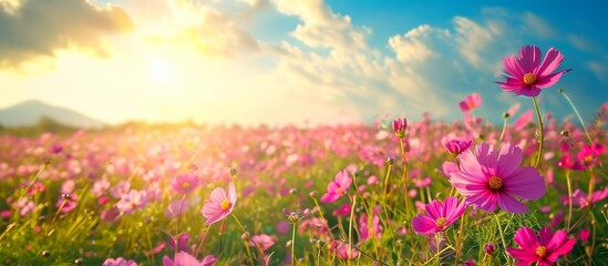 Canvas Print - A beautiful natural landscape with happy people surrounded by a field of pink flowers, the sun shining through the clouds.