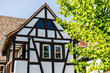 Altes Fachwerk Haus in Deutschland mit Baum in der Sonne, sonnig