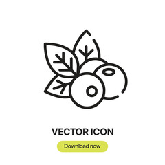 Leinwandbilder - Berries icon vector. Linear-style sign for mobile concept and web design. Berries symbol illustration. Pixel vector graphics - Vector.	
