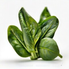 Wall Mural - Vegetable on a Plain White Background