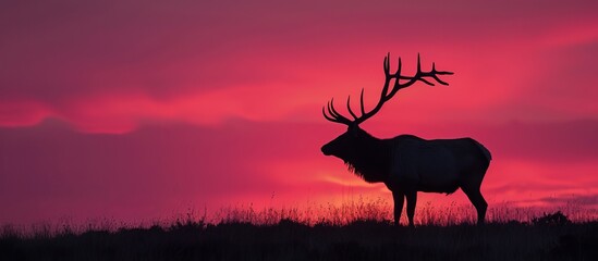 Sticker - A deer silhouette with antlers, standing amidst a natural landscape at sunset, against the backdrop of the sky.