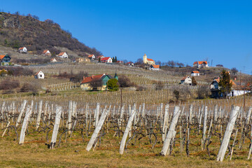 Poster - vineyard in Somlo (Somlyo) hill, Veszprem county, Hungary