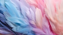 Closeup Detail Of Soft Silk Pastel Pink Blue Colored Feathers, Top View.