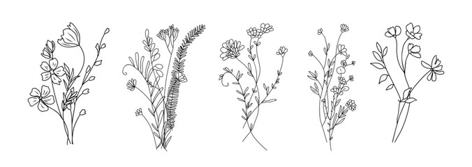Wall Mural - Wildflower line art bouquets set. Hand drawn flowers, meadow herbs, wild plants, botanical elements for arrangements, invitation, greeting cards, wall art, logo, tattoo design. Vector illustration.