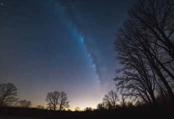 Enchanting Celestial Symphony: Stars dancing through Clouds above Moonlit Trees