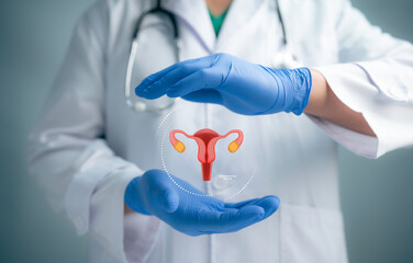 Medical worker holding virtual uterus reproductive system. Woman health concept, PCOS, ovary gynecologic and cervix cancer. Medical examination, women's consultation, obstetrics, pregnancy.