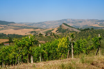 Wall Mural - Country landscape near Gambatesa and Jelsi, Molise, Italy