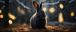 A black rabbit with lights behind, easter concept and exotic animals