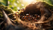 Efficient fire ants diligently navigate around their nest, showcasing their industrious teamwork in the wild. Vibrant red and black hues illustrate their active, social nature.