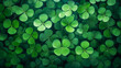 Clover, St. Patrick's Day background, top view.
