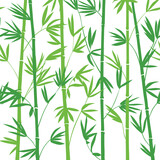 Fototapeta Sypialnia - Green vector asian style bamboo silhouette decorative seamless pattern on white background