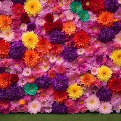 Flowers wall background with amazing red,orange,pink,purple,green and white chrysanthemum flowers ,Wedding decoration, hand made Beautiful flower wall background