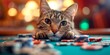 A Stylish Feline In Spectacles Confidently Gambles At The Poker Table. Concept Sophisticated Cat, Card Shark, Stylish Feline, Gambling Kitty