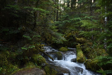  Mount Rainier, Seattle, United States