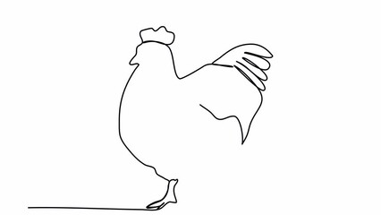 Wall Mural - Hen, one line drawing animation. Video clip with alpha channel.