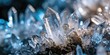 © Tetyana - Quartz crystals macro photography. Close-up. Mineral photography. Blue light. Blurred background.
