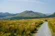 path in the mountains somewhere in scotland or wales pretty summer day