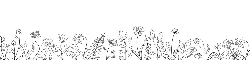 Wall Mural - Wild blooming meadow flowers and herbs border. Horizontal banner, floral overlay backdrop. Botanical monochrome ink sketch style hand drawn vector illustration isolated on transparent background.