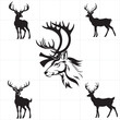 Vector Set of Deer Hoof Print Illustrations