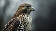 © Muddasar - Close-Up Portrait of a Majestic Goshawk, Detailed Feathers and Intense Gaze Against a Blurred Background