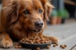 A content brown dog of a particular breed enjoys a hearty meal outdoors, eagerly lapping up every last morsel from the ground