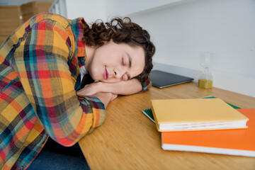 Sticker - Photo of dreamy cute funky tired guy wear plaid shirt sleeping working table indoors room home house