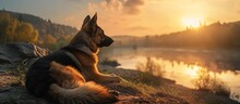A German Shepherd, A Carnivore Of The Dog Breed, Rests By The Water's Edge Of A Lake During A Stunning Sunset, While Clouds Paint The Sky In A Natural Landscape.