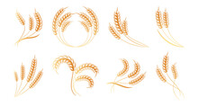 Set Of Spikelets Of Wheat, Rye, Barley. Golden Design. Decor Elements, Logos, Icons, Vector