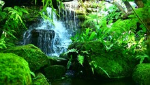 Waterfall In Refreshing And Cool Garden At Chiang Mai Province.