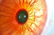 Human Cyborg AI Eye astigmatism. Eye protanopia optic nerve lens optical color vision. Visionary iris depth perception sight eye inflammation eyelashes