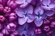 Macro image of spring lilac violet flowers, abstract soft floral background. generative ai.