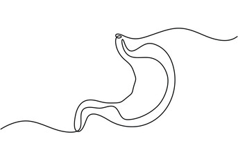 Wall Mural - Human stomach one continuous line art drawing.