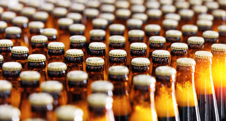 Production brewery Line, Closeup rows of bottled beer with golden hue on industrial conveyor, top view