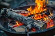 Fire Pit with Burning Logs