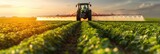 Fototapeta  - Spraying herbicides on a soybean field using a tractor. Generative Ai.