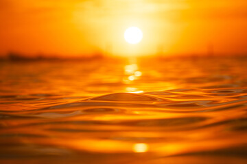 Wall Mural - beautiful golden water surface under the summer sunlight.