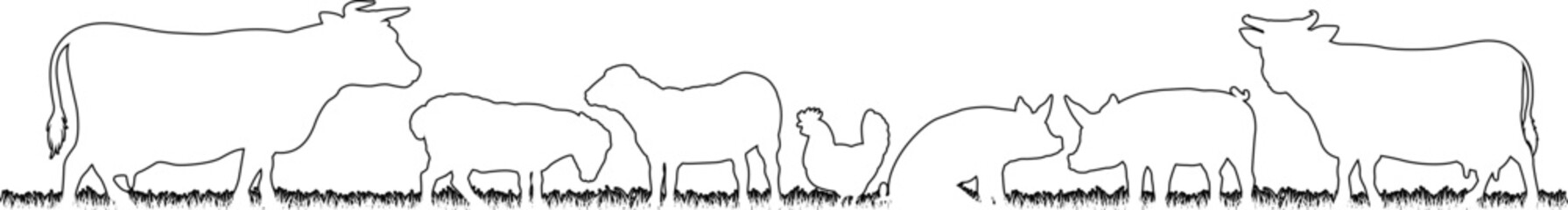 Wall Mural - A farm animals scene with silhouettes of cows, chicken, sheep and pigs in a grass field scene landscape