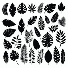 Canvas Print - Exotic tropical leaves set silhouette collection vector illustration