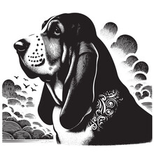 Basset Hound Dog Set Of Isolated Vector Illustrations