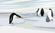 A flock of emperor penguins with chicks stand on the ice floes and the seashore. Birds of the South Poles. Realistic vector landscape