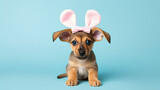 Fototapeta Panele - Realistic cute easter bunny