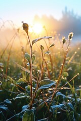 Sticker - A detailed view of a plant with glistening water droplets. Perfect for nature-themed designs and refreshing concepts