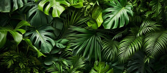 Wall Mural - This picture showcases a diverse range of tropical plant leaves, including trees, shrubs, groundcovers, grasses, and flowering plants, creating a beautiful jungle-like landscape.